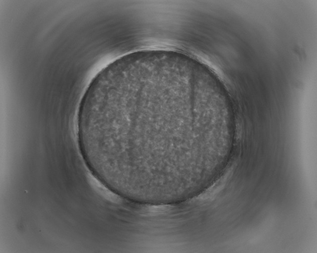 X0000111481471200908111150