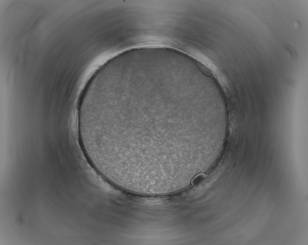 X0000111481472200908111150