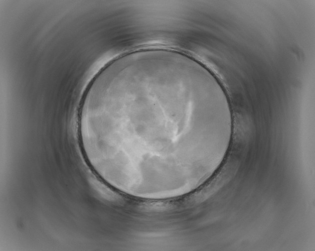 X0000111481474200908111150