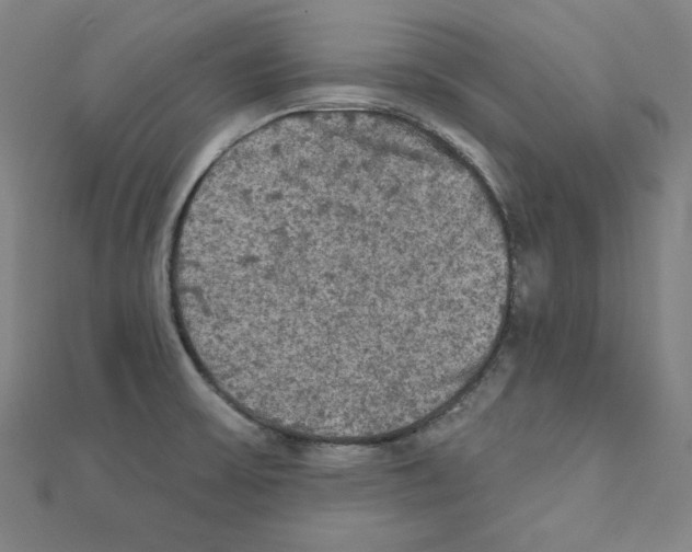 X0000111481475200908111150