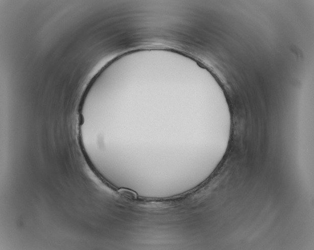 X0000111481476200908111150