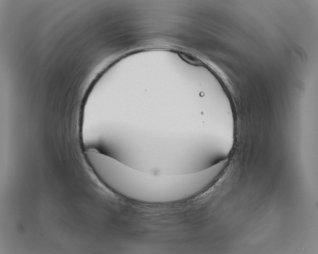 X0000111481477200908111150