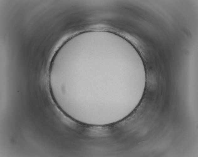X0000111481478200908111150