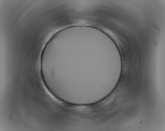 X0000111481479200908111150