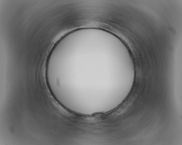 X0000111481480200908111150