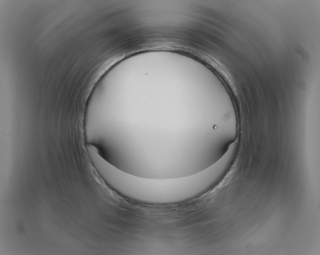 X0000111481481200908111150