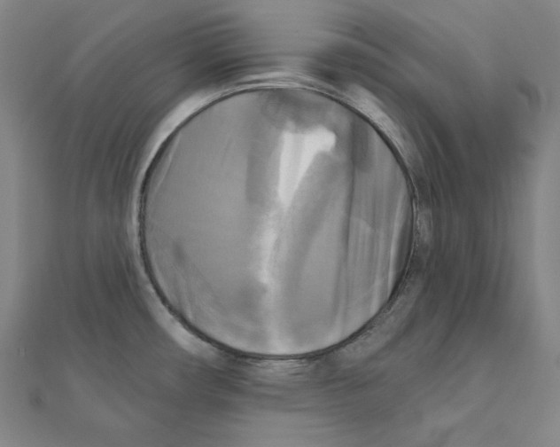 X0000111481482200908111150