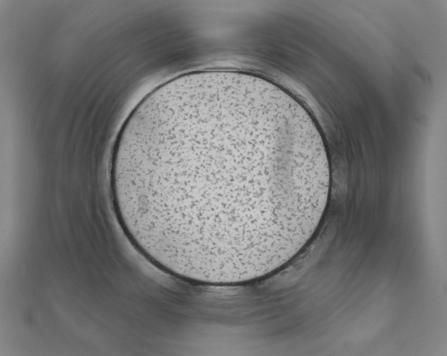 X0000111481483200908111150
