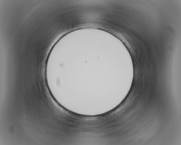 X0000111481484200908111150
