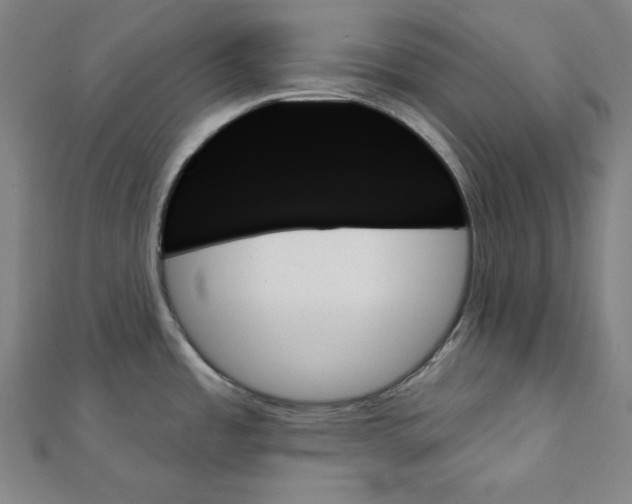 X0000111481485200908111150