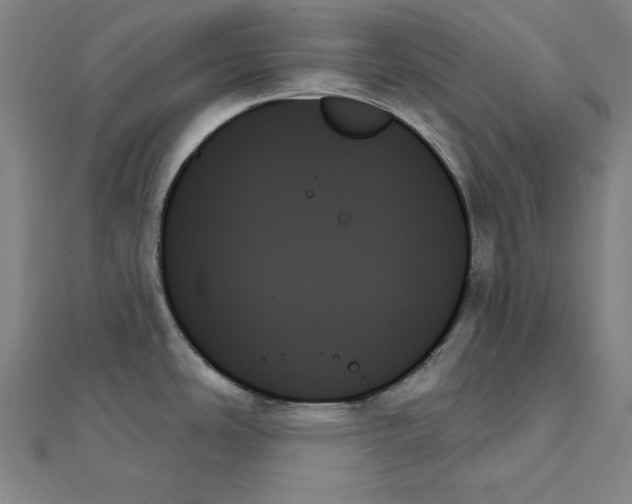 X0000111481486200908111150