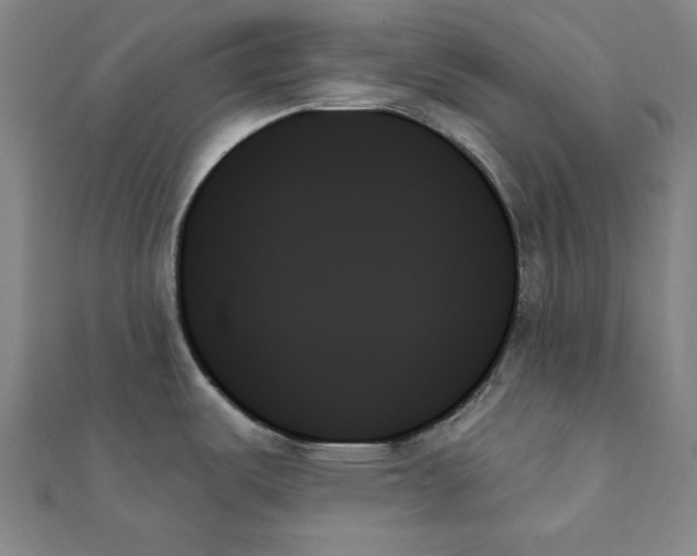 X0000111481487200908111150