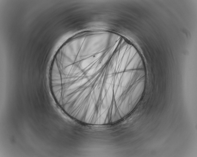 X0000111481488200908111150