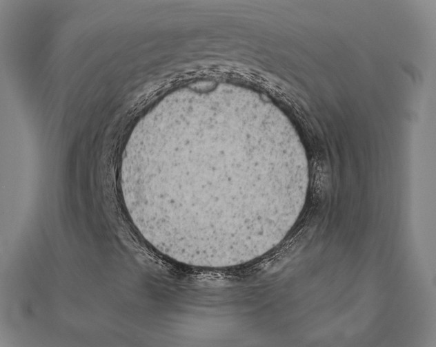 X0000111481489200908111149