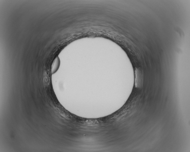 X0000111481491200908111149