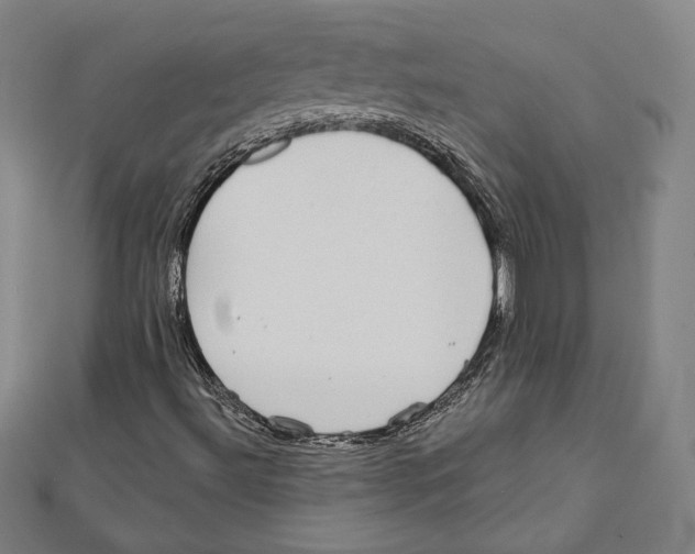 X0000111481492200908111149