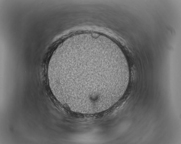 X0000111481494200908111149