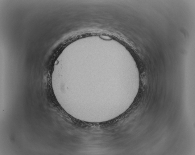 X0000111481495200908111149