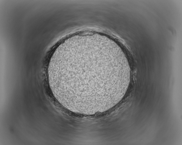 X0000111481496200908111149