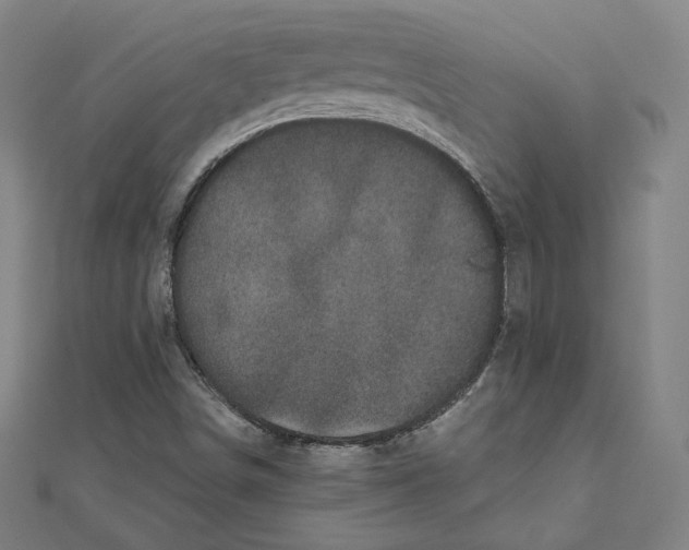 X0000111481498200908111149