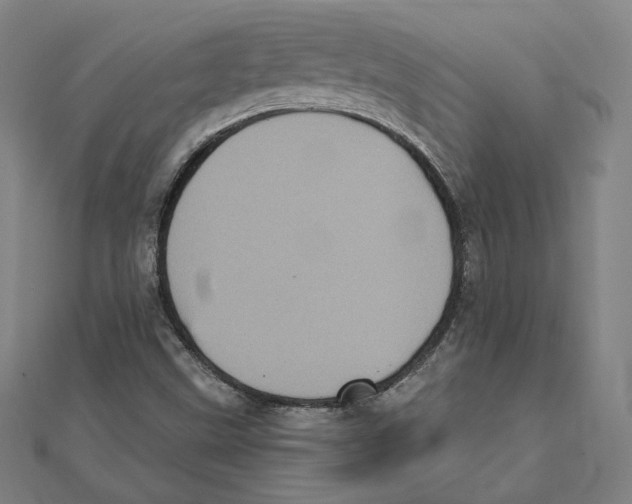 X0000111481499200908111149