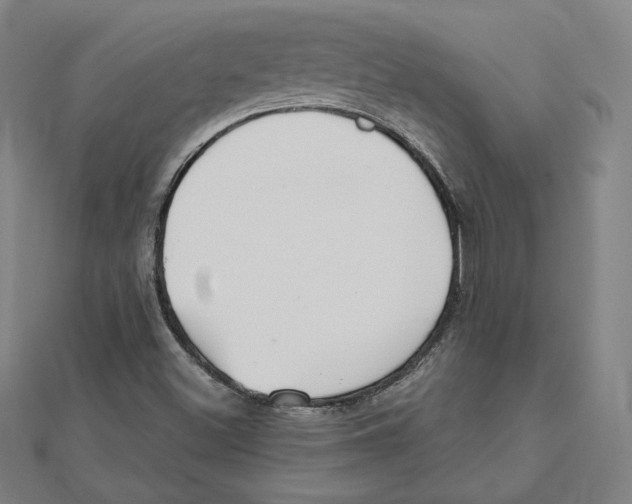 X0000111481500200908111149