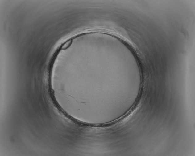 X0000111481506200908111150
