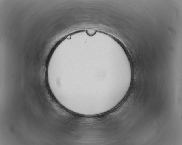 X0000111481507200908111150