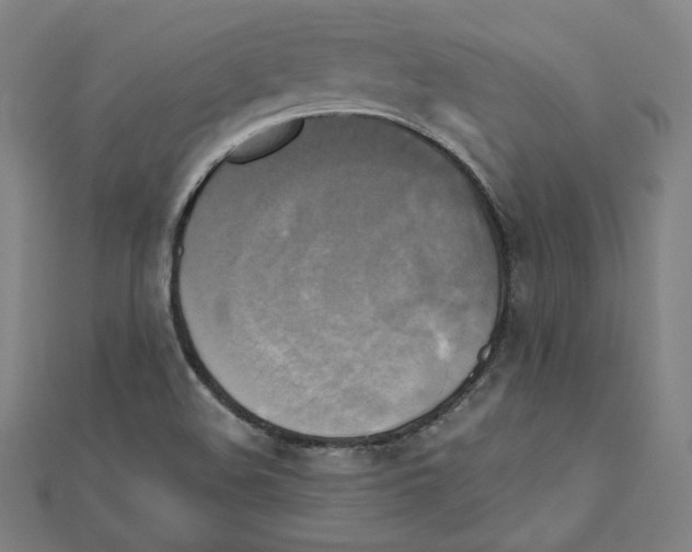 X0000111481508200908111150