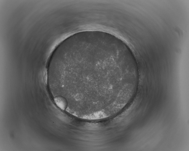 X0000111481509200908111150