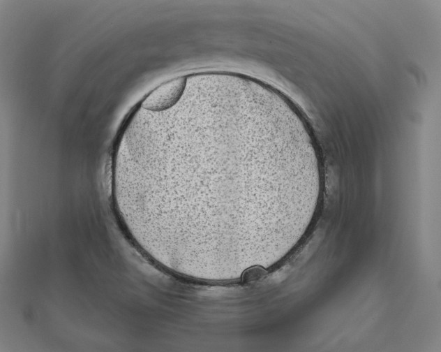X0000111481510200908111150