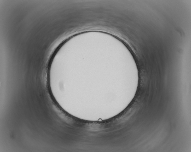X0000111481511200908111150
