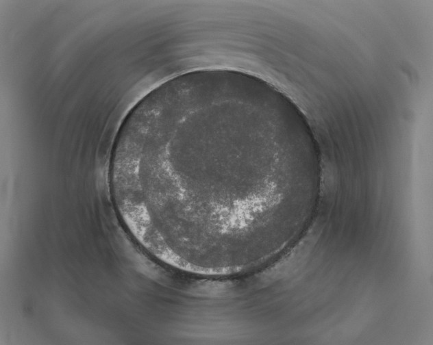 X0000111481513200908111150