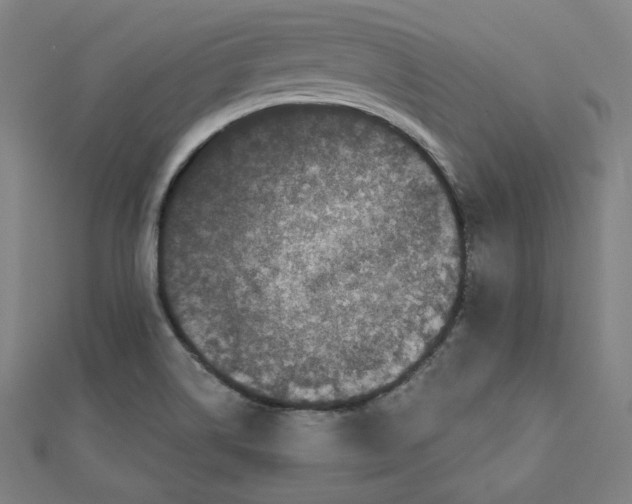 X0000111481514200908111150