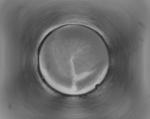 X0000111481515200908111150