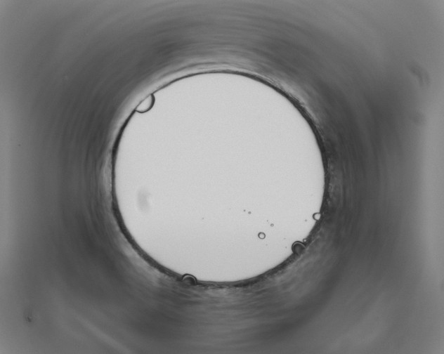 X0000111481516200908111150