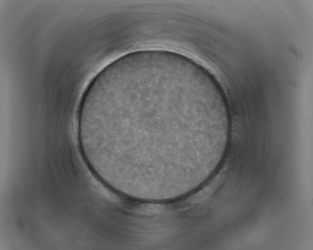 X0000111481517200908111150