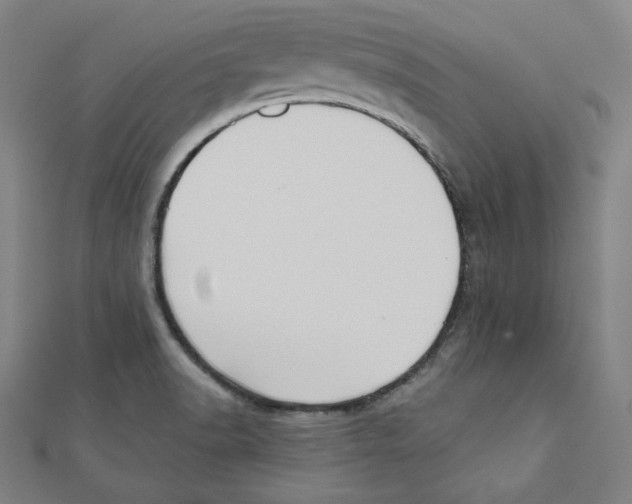 X0000111481518200908111150