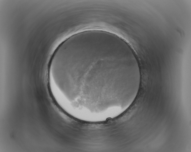 X0000111481519200908111150