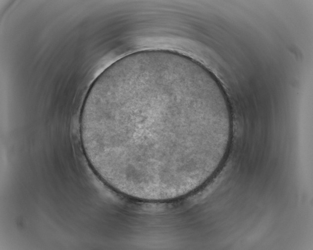 X0000111481521200908111150