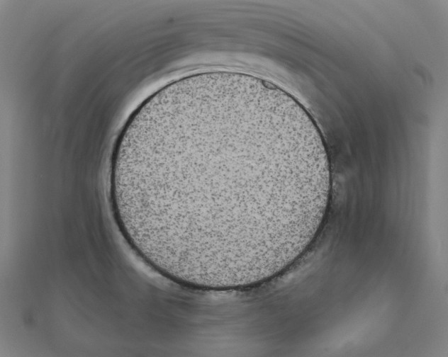 X0000111481523200908111150