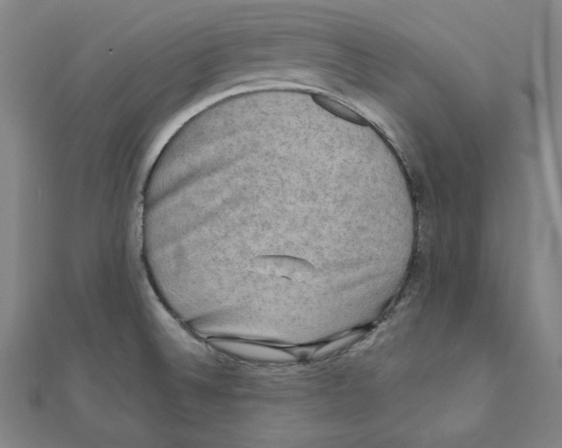 X0000111481524200908111150