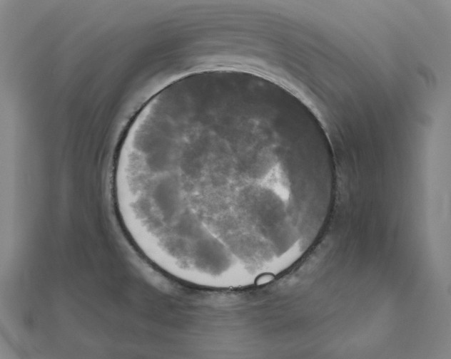 X0000111481525200908111150