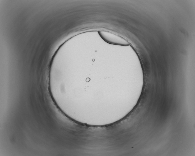 X0000111481526200908111150
