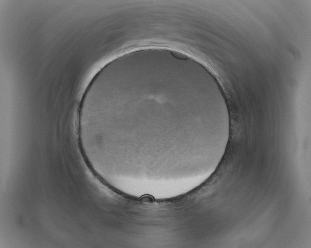X0000111481527200908111150