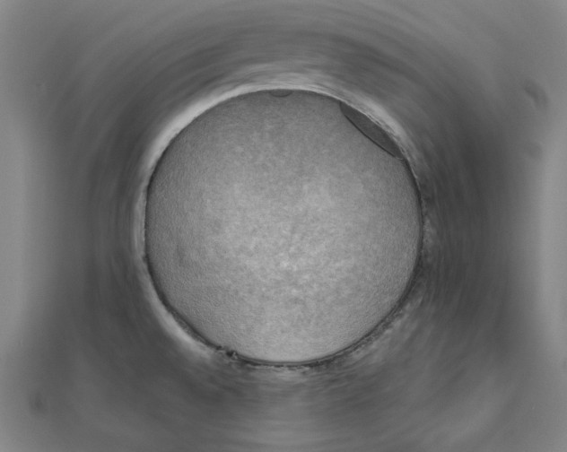 X0000111481528200908111150