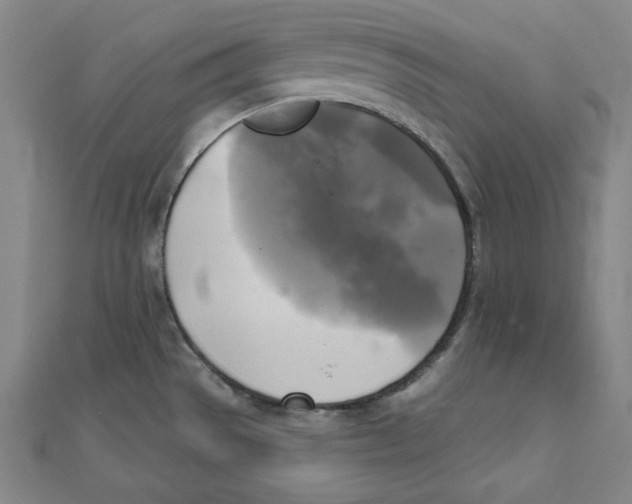 X0000111481529200908111150