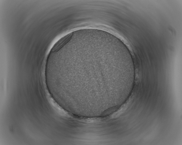 X0000111481530200908111150