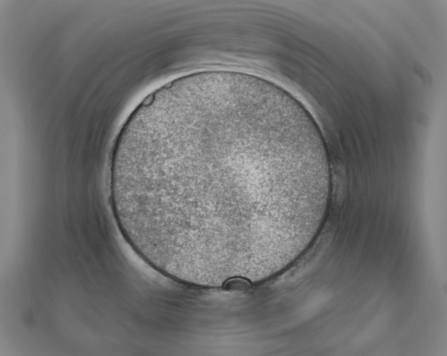 X0000111481531200908111150