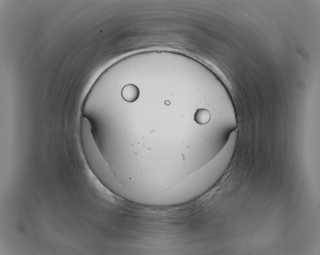 X0000111481532200908111150